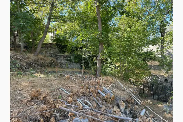 Ilıca Piknik Alanı